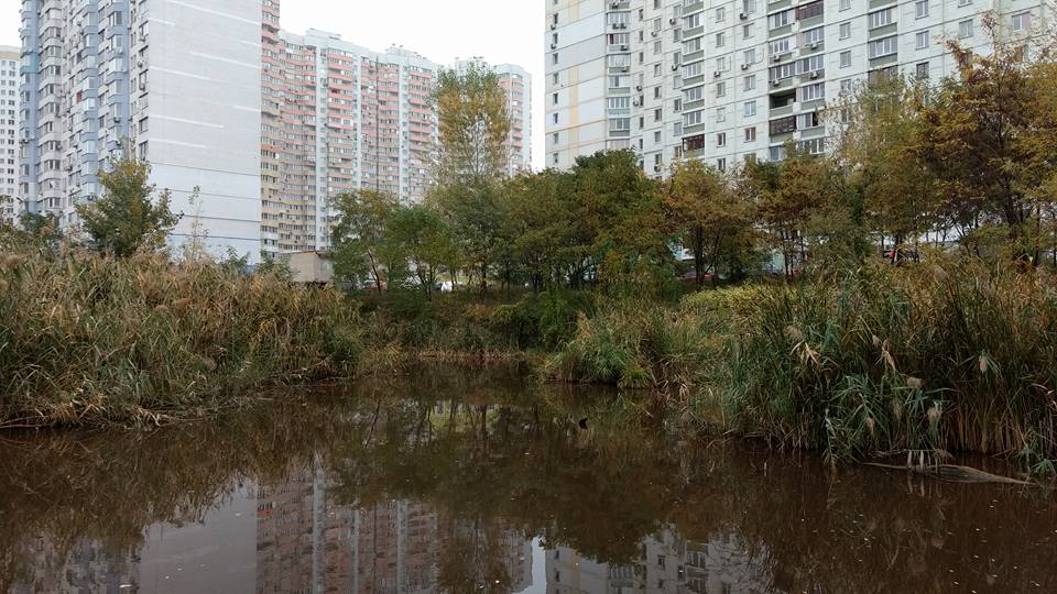 22687749 1878388022475538 8000339255430567016 n