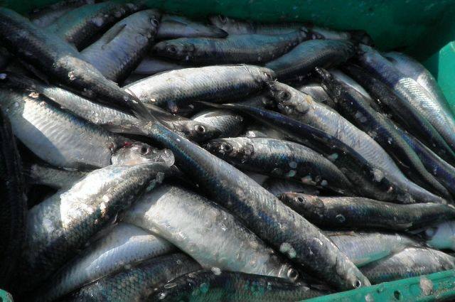 30656410 994641860687562 3000946026841374720 n