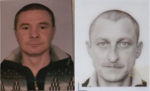 529595b7e7af74e306 50325591