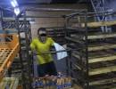 последние новости в Украине останні новини в Україні