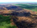 последние новости в Украине останні новини в Україні