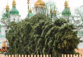 последние новости в Украине останні новини в Україні