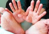 последние новости в Украине останні новини в Україні