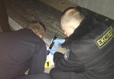 последние новости в Украине останні новини в Україні