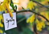 последние новости в Украине останні новини в Україні