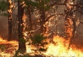 последние новости в Украине останні новини в Україні