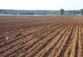 последние новости в Украине останні новини в Україні