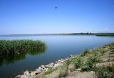 последние новости в Украине останні новини в Україні