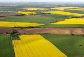 последние новости в Украине останні новини в Україні