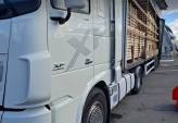 последние новости в Украине останні новини в Україні