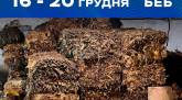 последние новости в Украине останні новини в Україні