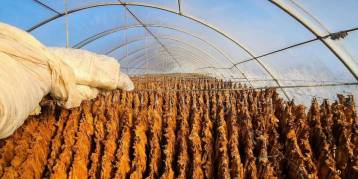 последние новости в Украине останні новини в Україні