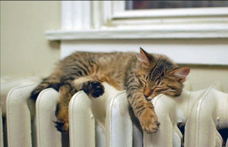 последние новости в Украине останні новини в Україні