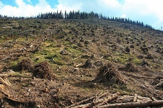 последние новости в Украине останні новини в Україні