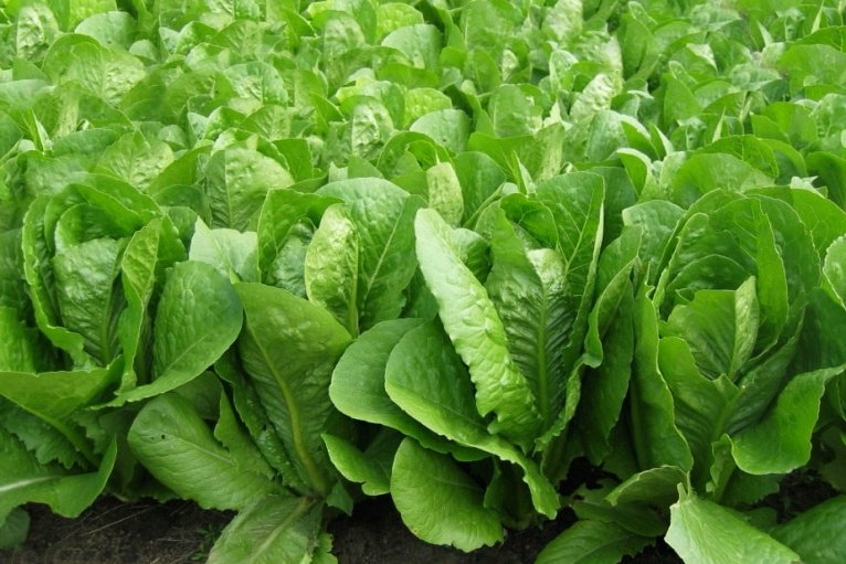 последние новости в Украине останні новини в Україні