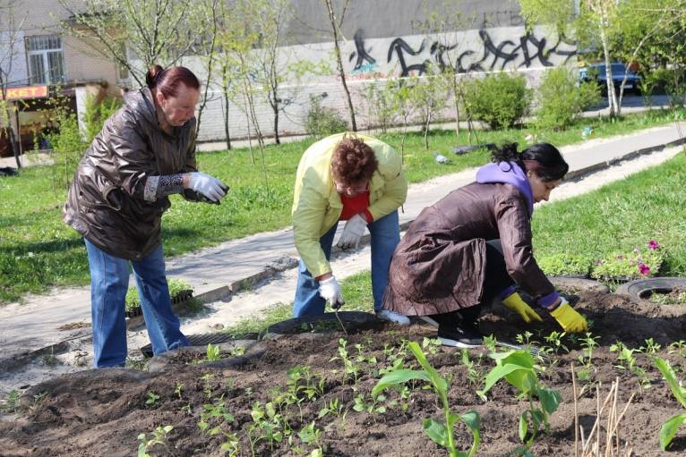 последние новости в Украине останні новини в Україні