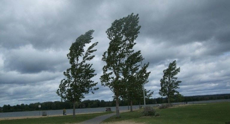 последние новости в Украине останні новини в Україні