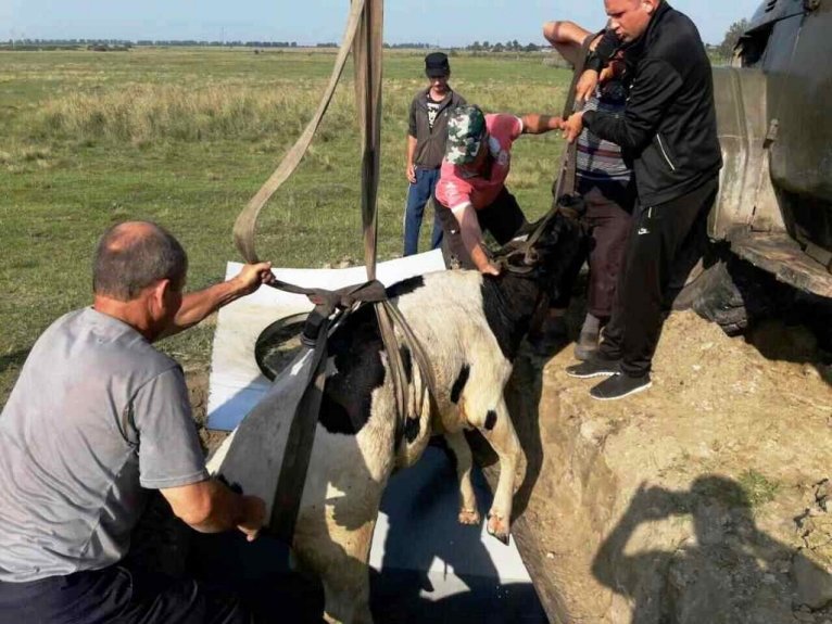 последние новости в Украине останні новини в Україні