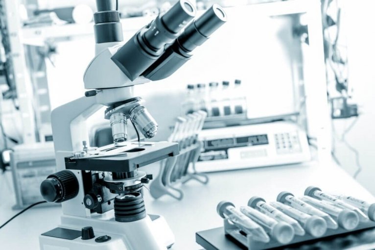 последние новости в Украине останні новини в Україні