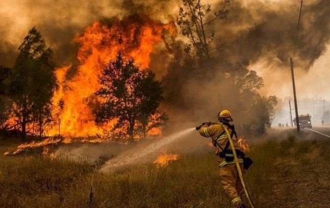 последние новости в Украине останні новини в Україні