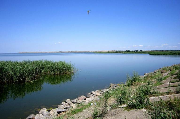 последние новости в Украине останні новини в Україні