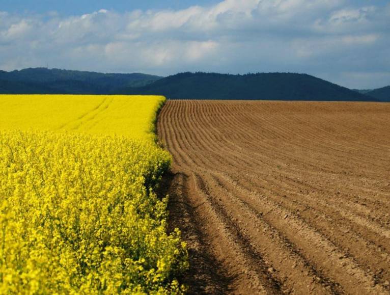 последние новости в Украине останні новини в Україні
