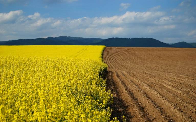 последние новости в Украине останні новини в Україні