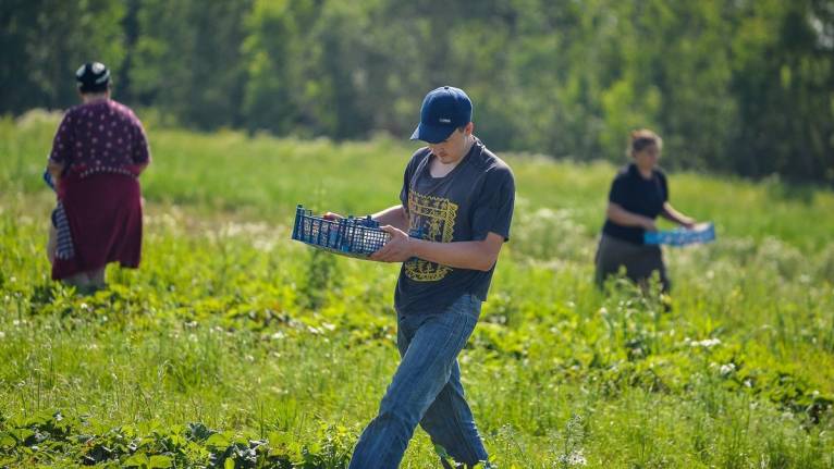 последние новости в Украине останні новини в Україні