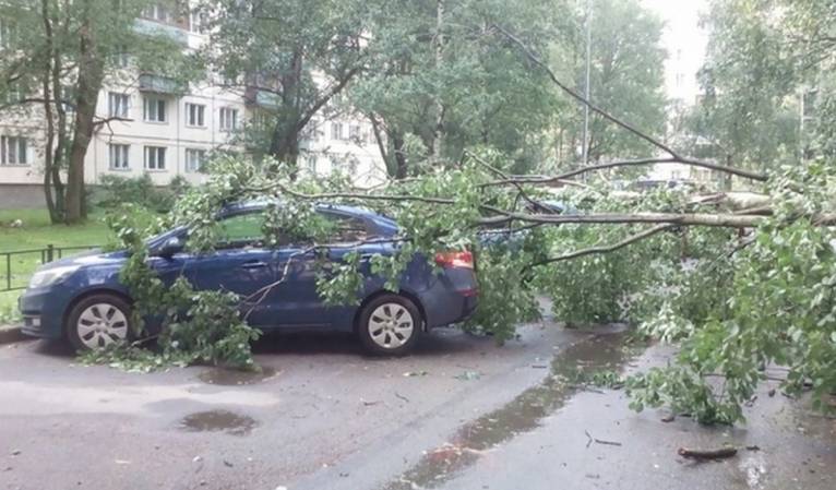 последние новости в Украине останні новини в Україні