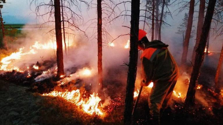последние новости в Украине останні новини в Україні