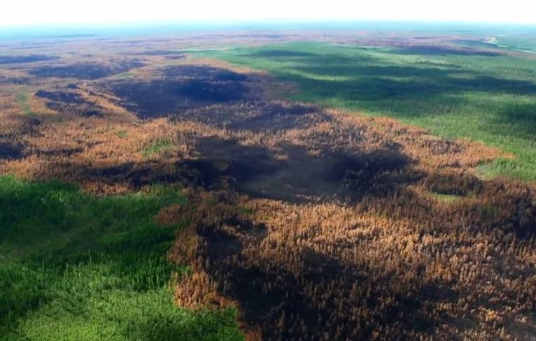 последние новости в Украине останні новини в Україні