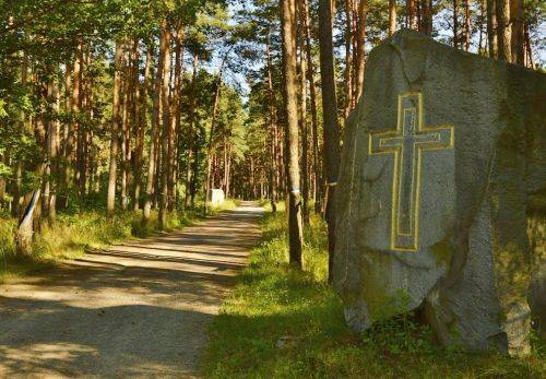 последние новости в Украине останні новини в Україні