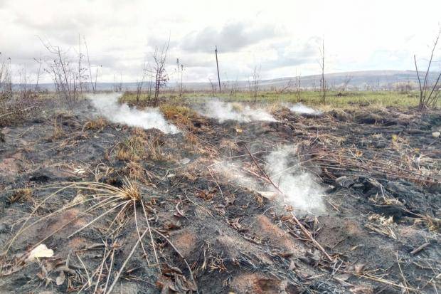 последние новости в Украине останні новини в Україні