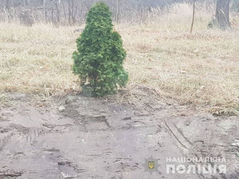 последние новости в Украине останні новини в Україні