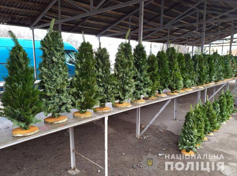 последние новости в Украине останні новини в Україні