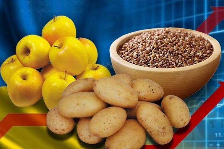 последние новости в Украине останні новини в Україні