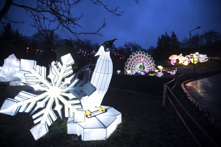 последние новости в Украине останні новини в Україні