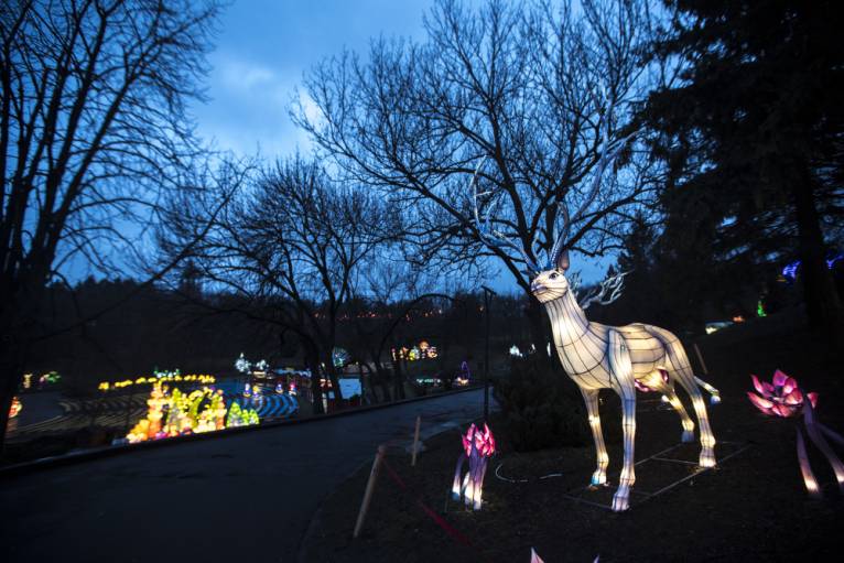 последние новости в Украине останні новини в Україні