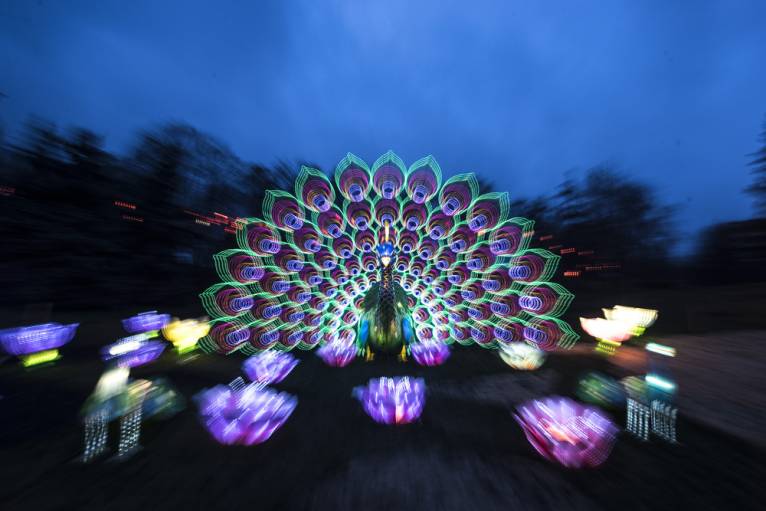 последние новости в Украине останні новини в Україні