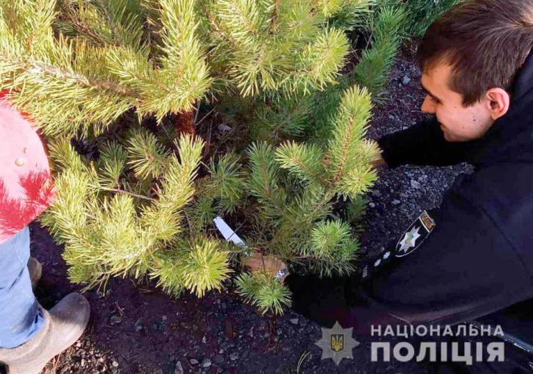 последние новости в Украине останні новини в Україні