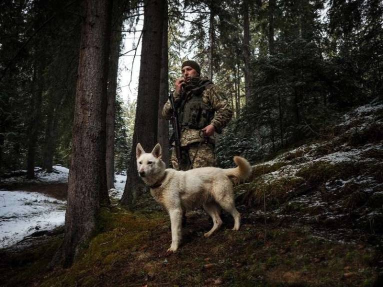 последние новости в Украине останні новини в Україні