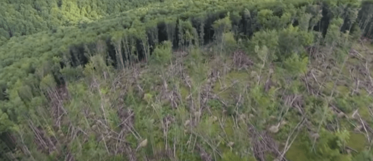 последние новости в Украине останні новини в Україні