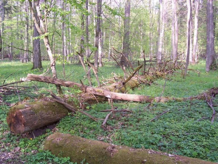 последние новости в Украине останні новини в Україні