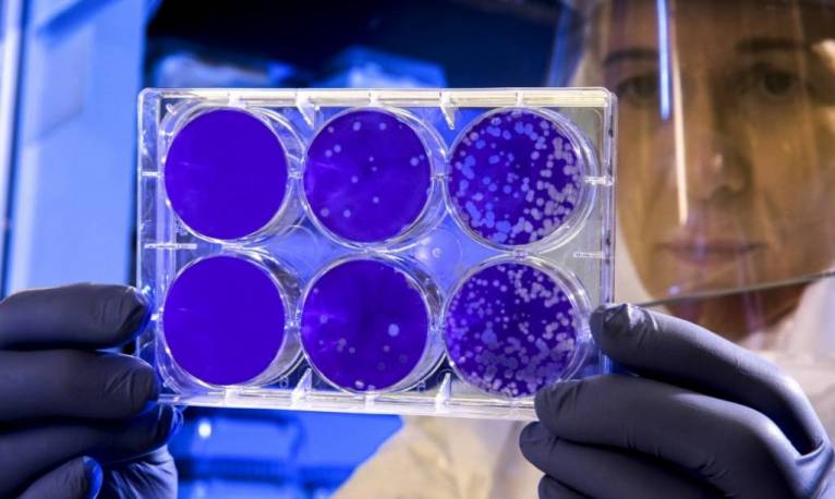 последние новости в Украине останні новини в Україні