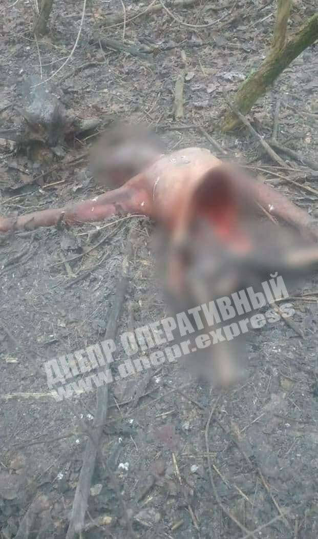 последние новости в Украине останні новини в Україні