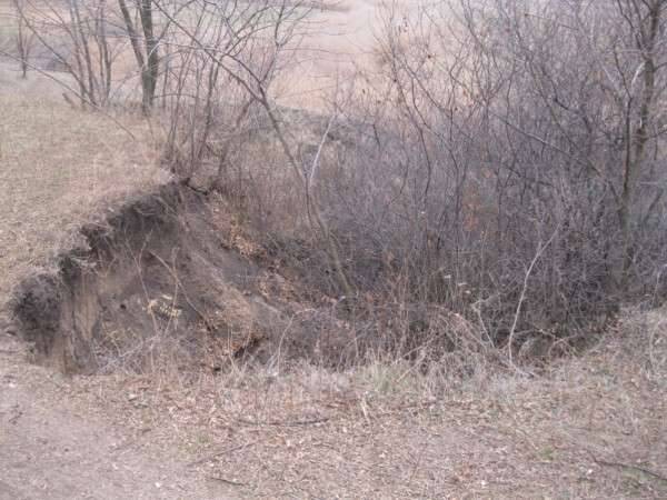 последние новости в Украине останні новини в Україні