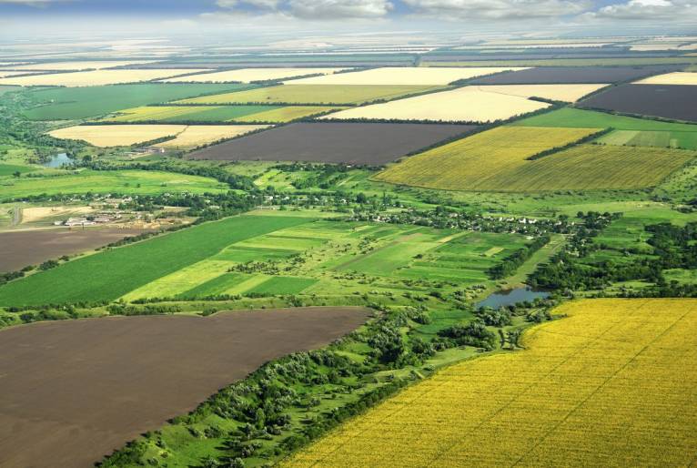последние новости в Украине останні новини в Україні