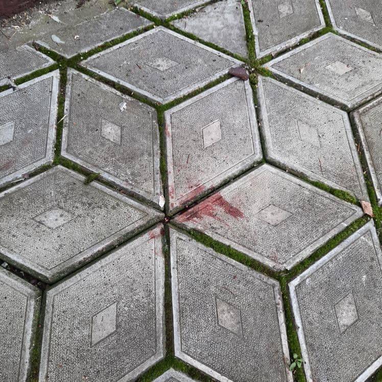 последние новости в Украине останні новини в Україні