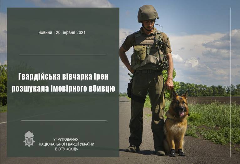 последние новости в Украине останні новини в Україні