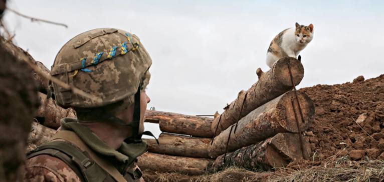 последние новости в Украине останні новини в Україні